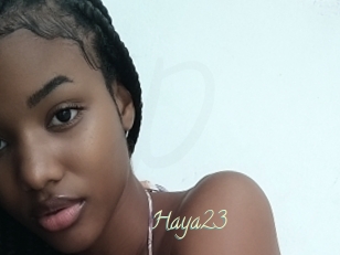 Haya23