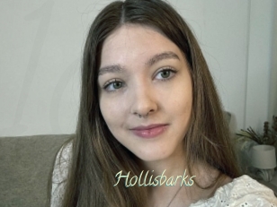 Hollisbarks