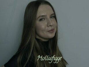 Hollisfigge