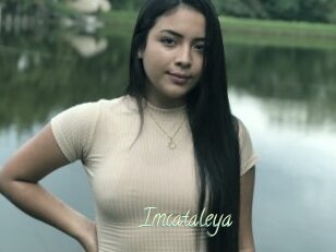 Imcataleya