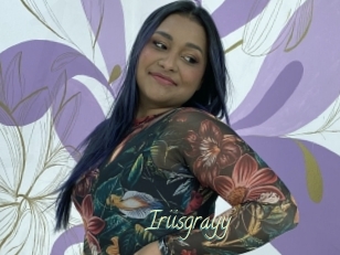 Iriisgrayy