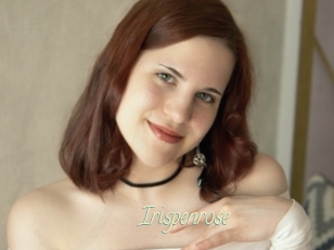 irispenrose Une Chatte Poilue