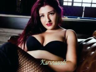 Karinasodi