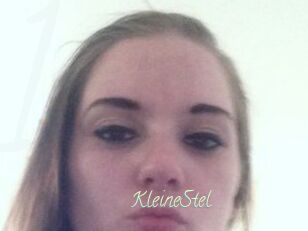 KleineStel