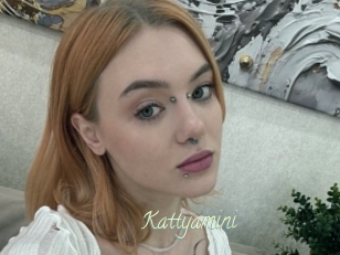 Kattyamini
