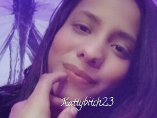 Kattybitch23