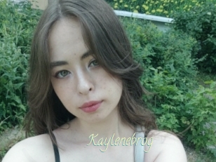 Kaylenebrog