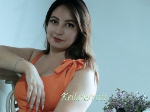 Keilabarrott