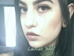 Lachlan_Wolf
