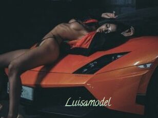 Luisamodel