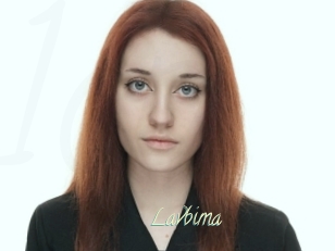 Lavbima