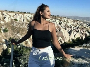 Ledibloom
