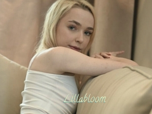Lillabloom