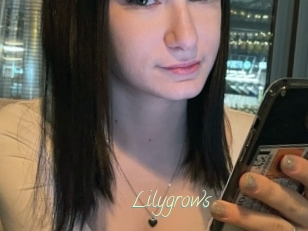 Lilygrows