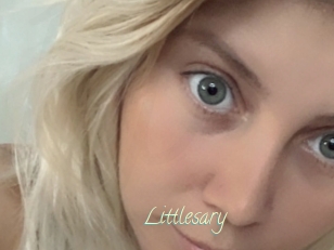 Littlesary