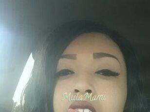 MulaMami
