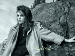Maebreed