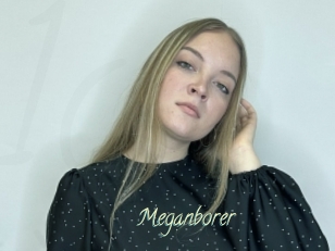 Meganborer