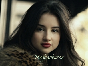 Meghanbarns