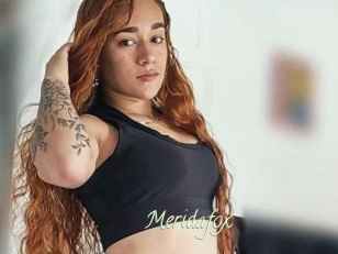 Meridafox