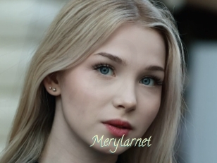 Merylarnet