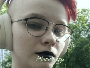 Minniebriggs