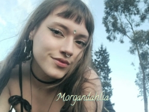 Morgandahlia