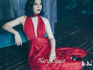 NaryaSpace
