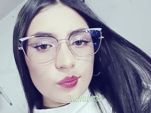Namibms