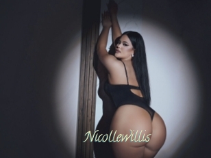 nicollewillis Une Chatte Poilue