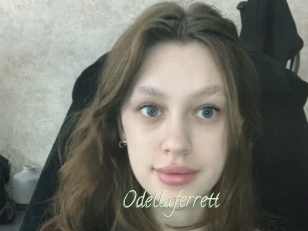 Odellaferrett