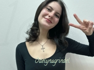Odelynagrindel