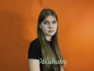 Odiliabuskey