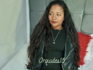 Orquidea18
