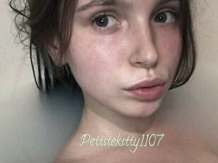 Pettitekitty1107