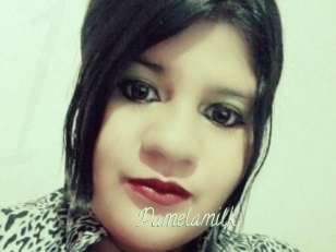 Pamelasuite