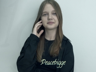 Peacebigge