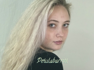 Petulabarritt