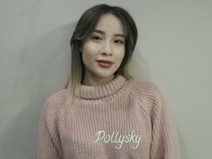 Pollysky