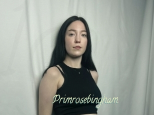 Primrosebingham
