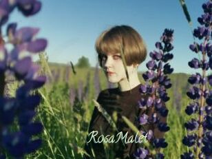RosaMalet