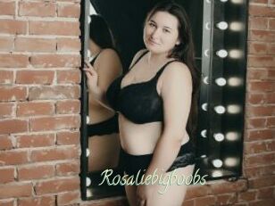 Rosaliebigboobs