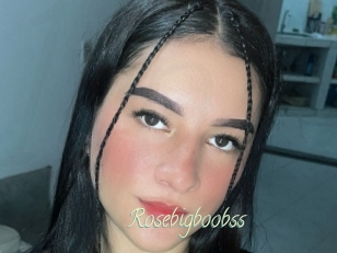 Rosebigboobss