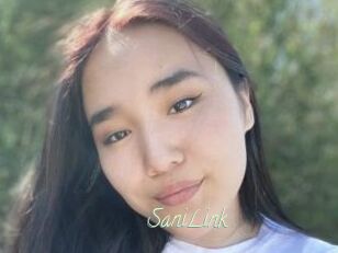 SaniLink