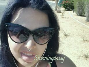 Shinningdaisy
