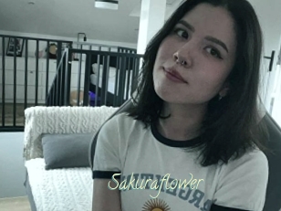 Sakuraflower