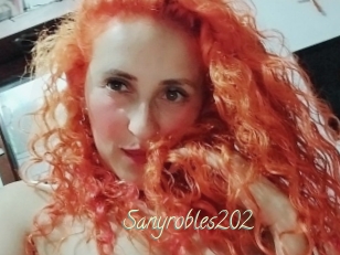 Sanyrobles202
