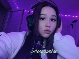 Selenagambee