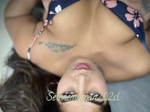 Selenemorgan202cl