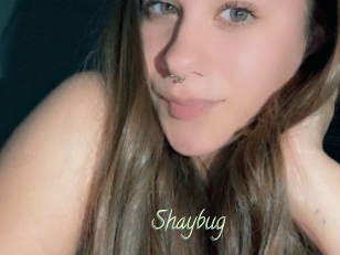Shaybug